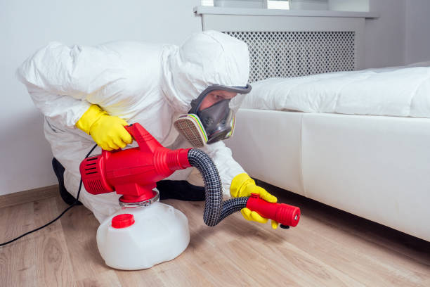 Best Best Pest Control Companies  in Franklin, TX