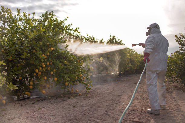 Wildlife Control Services in Franklin, TX