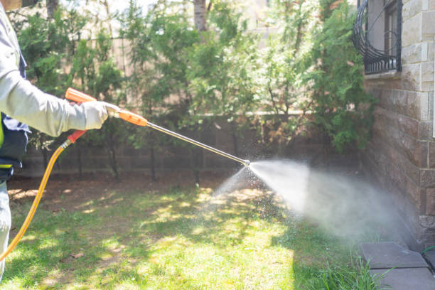 Best Ant Control Services  in Franklin, TX