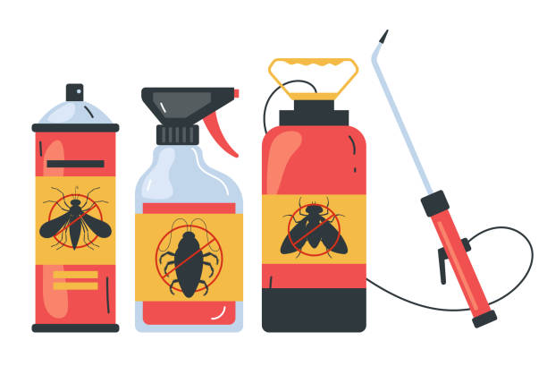Best Bed Bug Extermination  in Franklin, TX