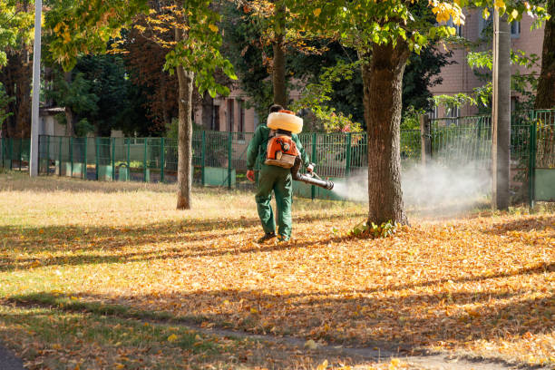Best Rodent Control Near Me  in Franklin, TX