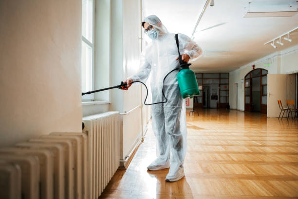 Best Best Pest Control Companies  in Franklin, TX