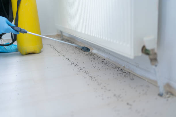 Best Residential Pest Control  in Franklin, TX