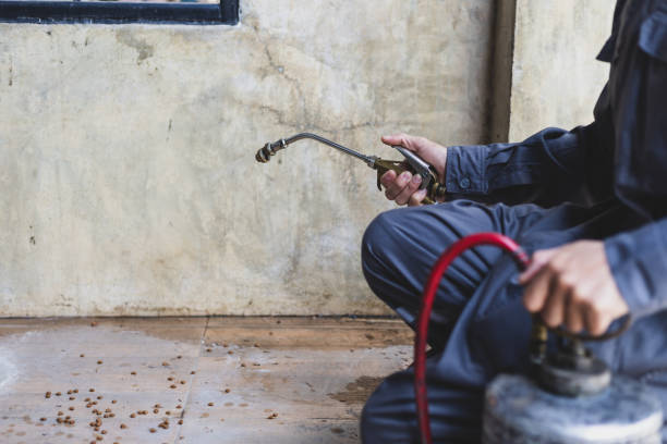 Best Emergency Pest Control  in Franklin, TX