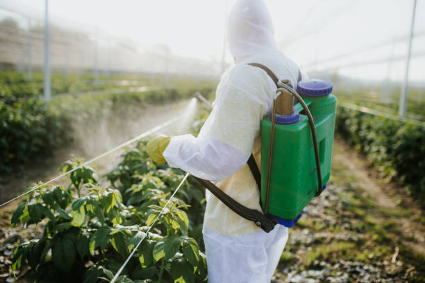 Best Mosquito Control Services  in Franklin, TX